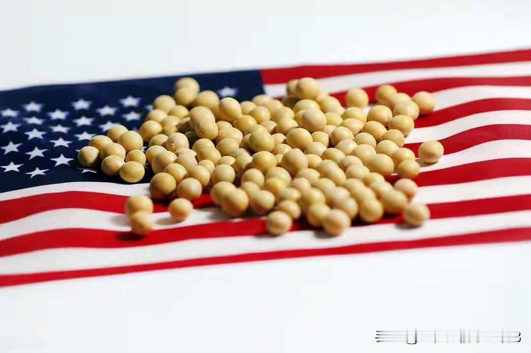 1. 多国领导人排队访华特朗普通告中方预订200万吨美大豆：多国领导人（马克龙