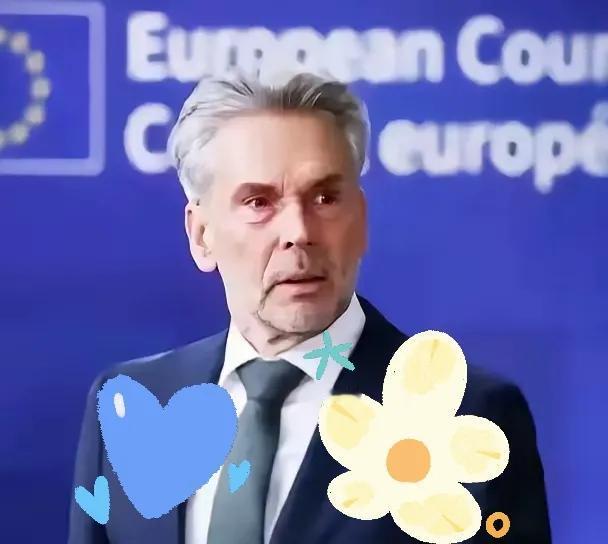 深夜突发！荷兰首相府向北京发出秘密信函，芯片战争现惊人逆转海牙国会大厦的钟声