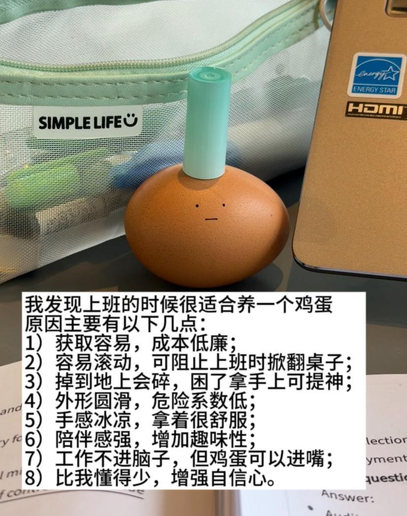 上班适合养的手把件