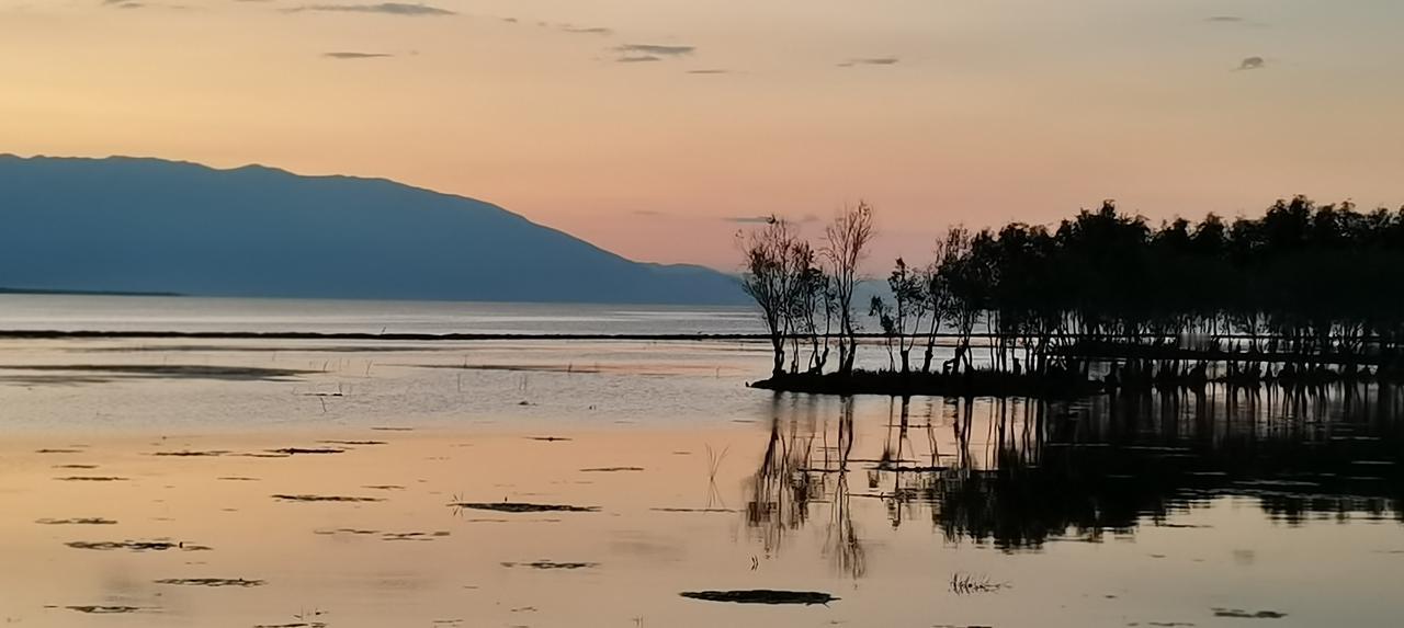 25125期,双色球,预测红球杀号:1、060913151620