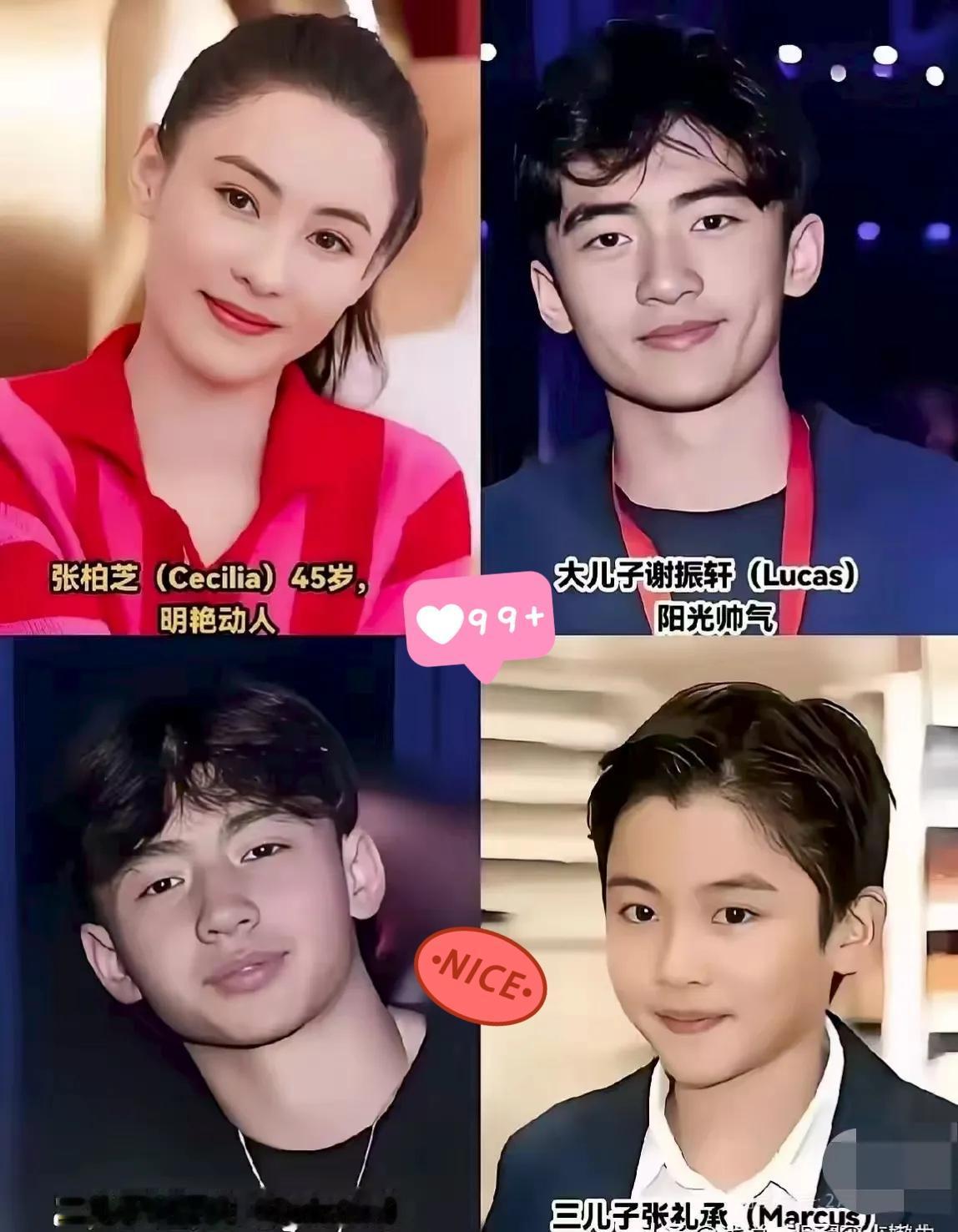 面相这东西，有时候真比教科书还准。张柏芝没学过一天心理学，却把三个儿子教得通透懂