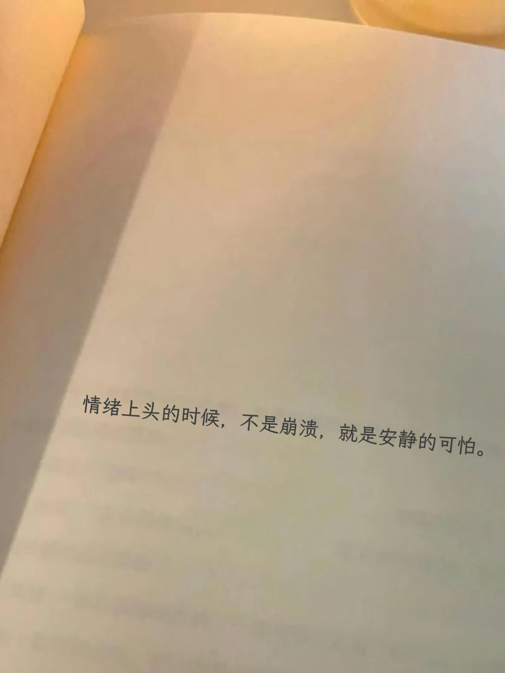 这个世界没有真相，只有视角