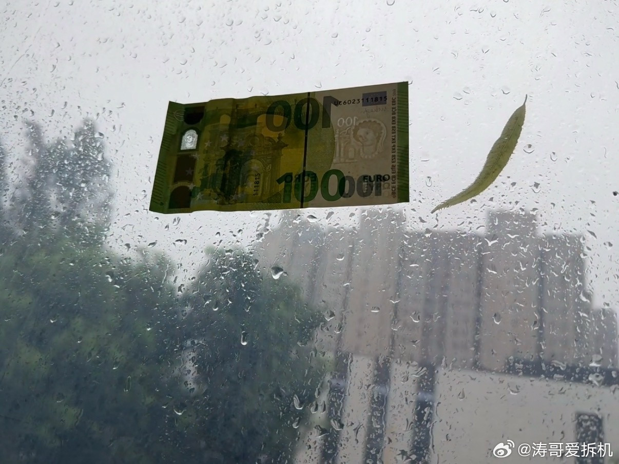 以为台风白海豚真刮来白海豚我刷到台风刮来了钱的，钱有些时候还真是大风刮来的……