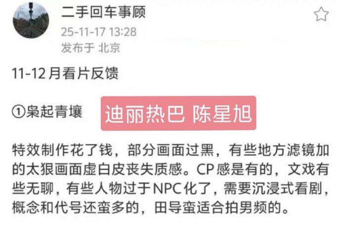 新一波看片repo迪丽热巴陈星旭《枭起青壤》：滤镜稍重，部分配角略NPC，得沉