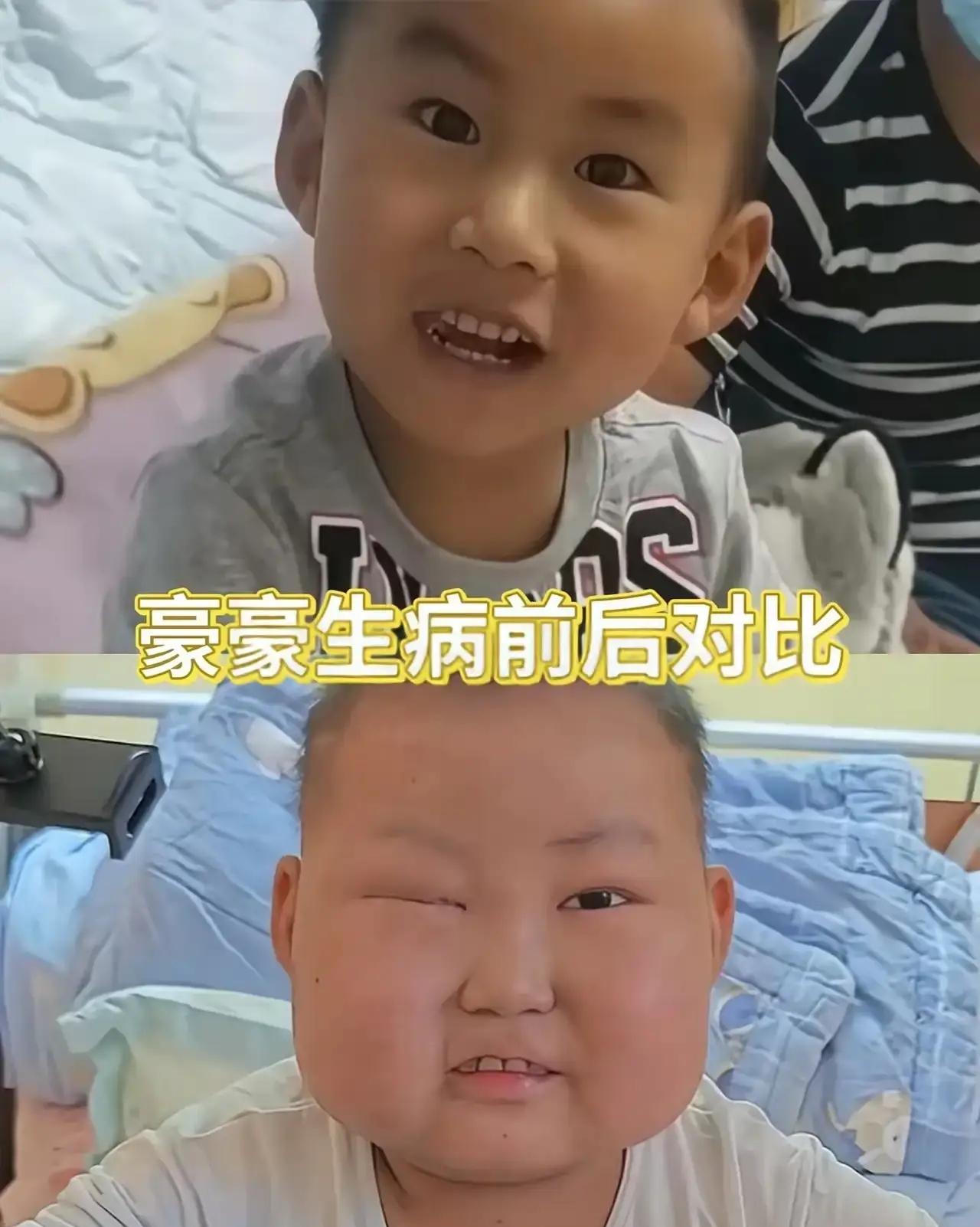 坚强的豪豪还是被无情的病魔带走了，可惜没有撑到过年，还有20天就过年了！但是