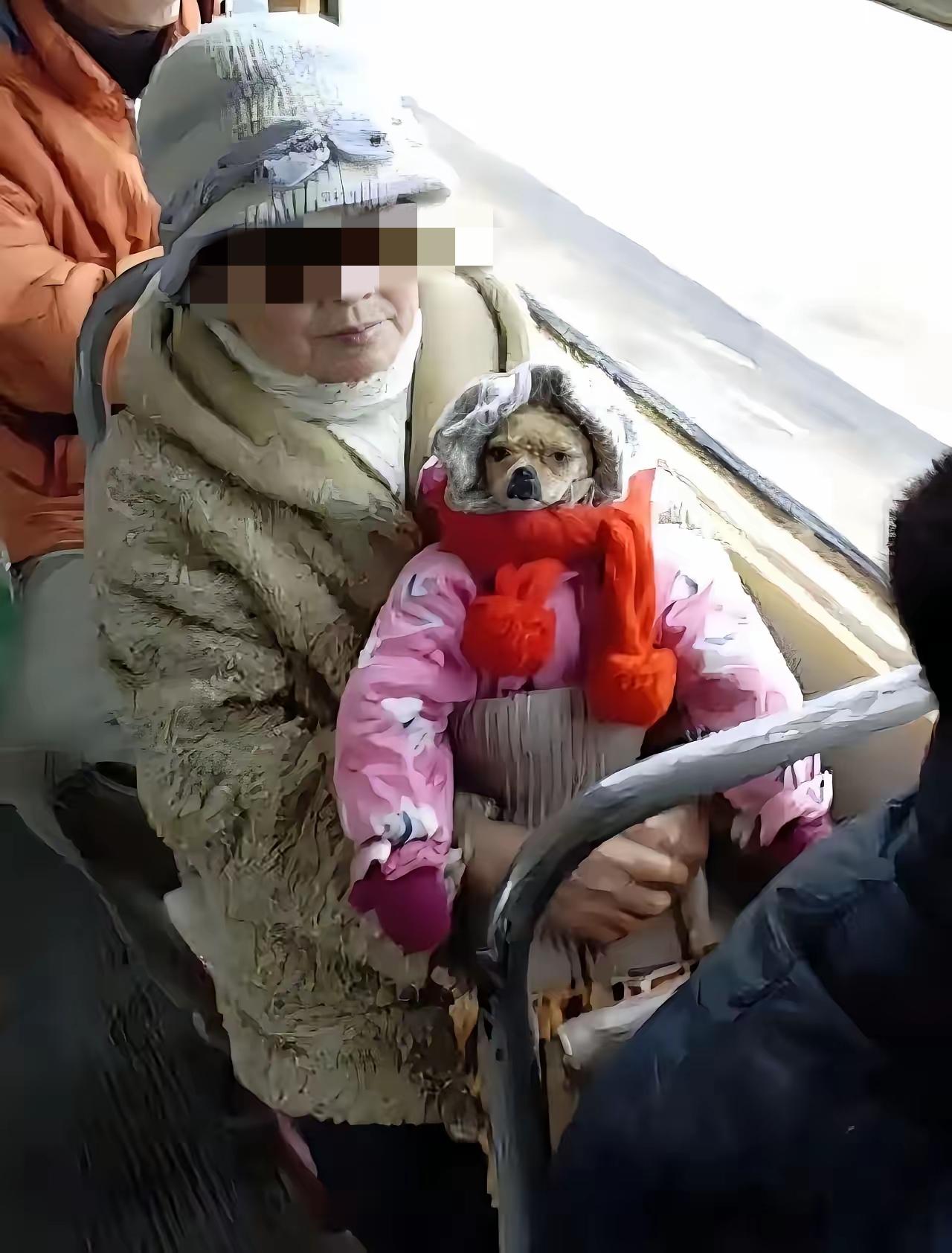 这位老太太真有办法，知道狗不能上公交车，她乔装打扮，给狗穿上儿童装，人模狗样，蒙