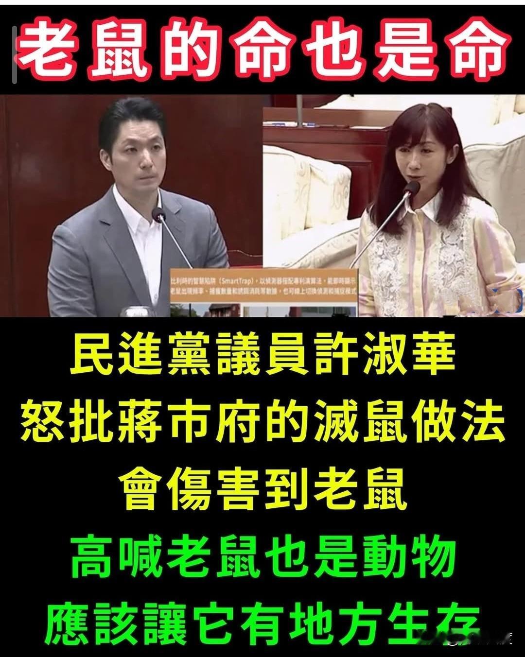 民进党议许淑华“霸气”质询蒋万安，请除“鼠患”，但不要伤害老鼠！语惊四座！网批: