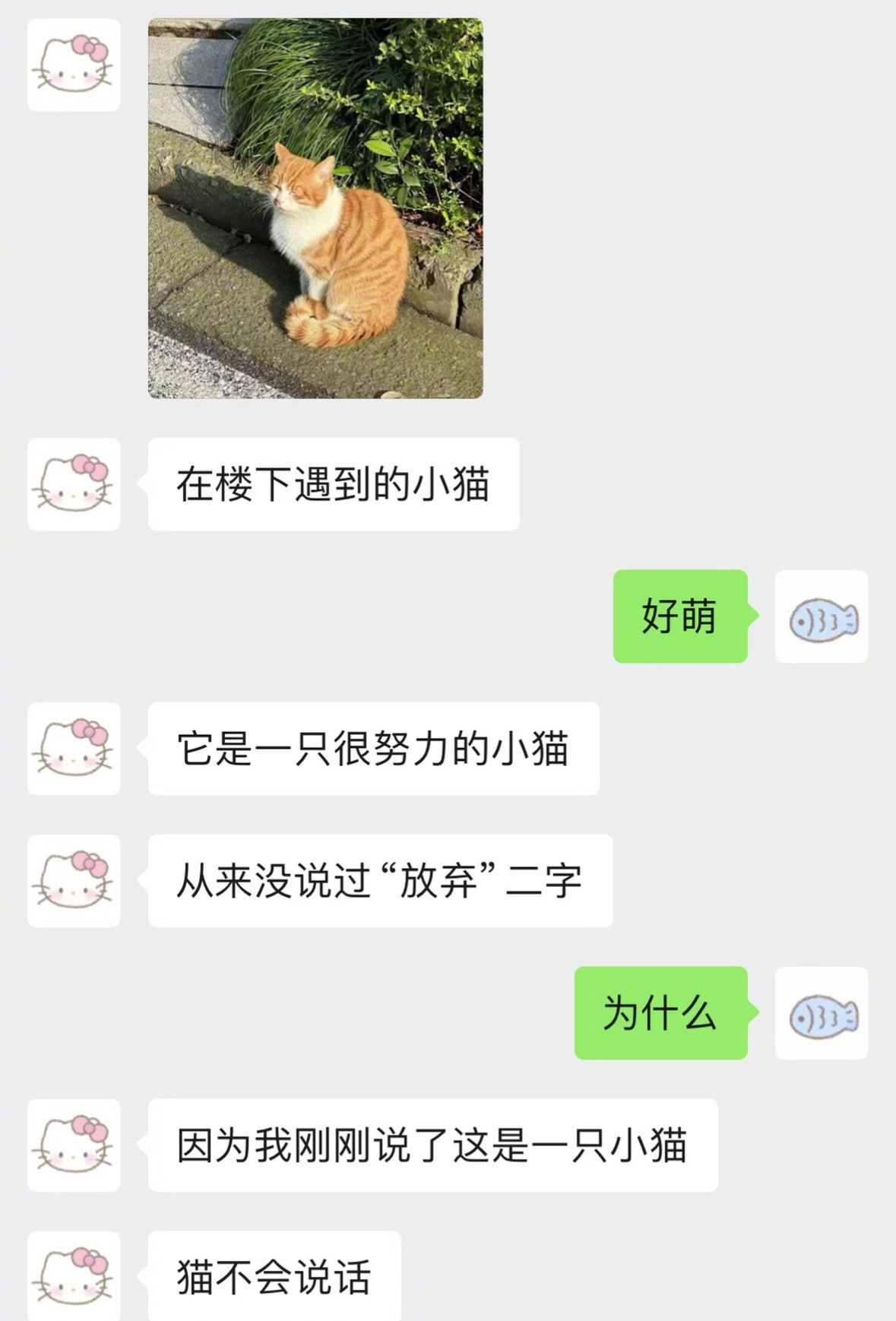 当你有个语言系统很可爱的女朋友