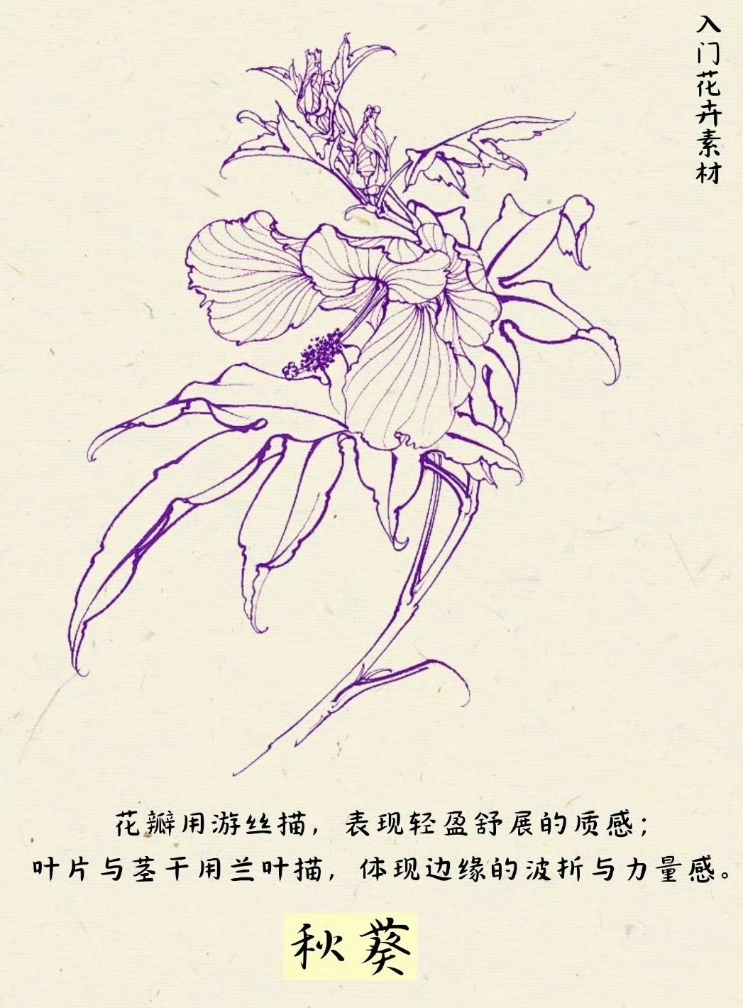 “各花类白描画法…”​​​绘画