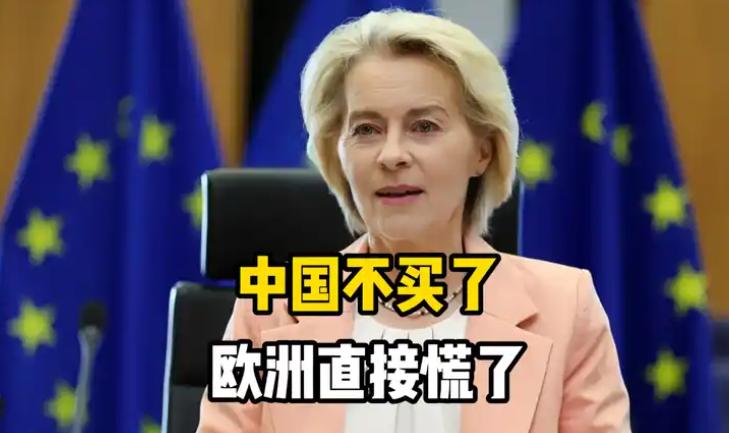 中国不买了，欧洲立马急得跳脚！10月8日，据纽约时报中文网报道，中国正全力搞自主