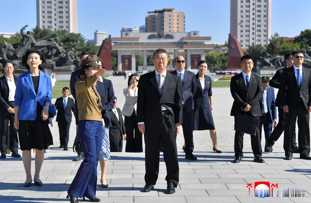 中国青年干部代表团在平壤参观访问朝中社平壤９月１８日电　以退役军人事务部副司长