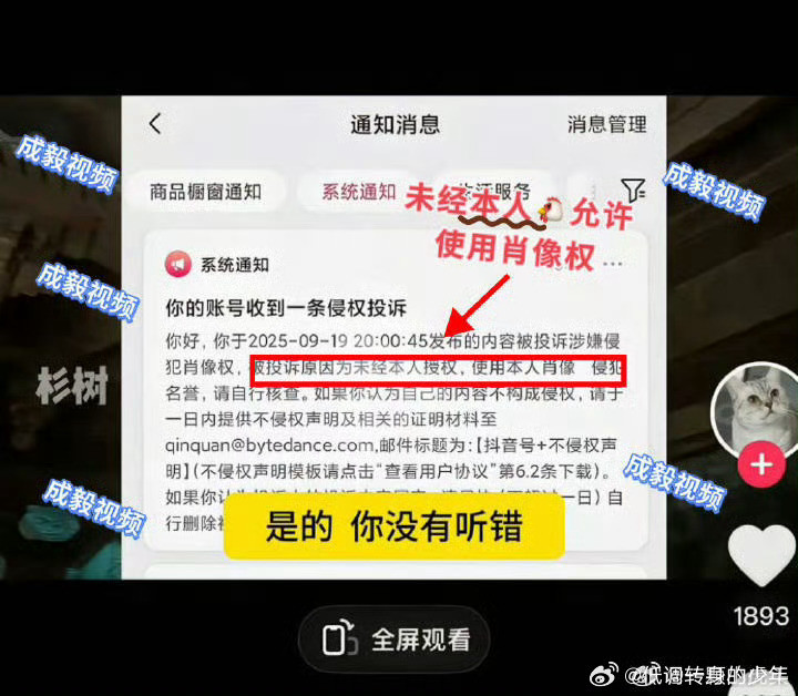 抖上有四位吐槽赴山海的博主被实名举报了，估计成毅老师的下部剧他们已经开始想文案了