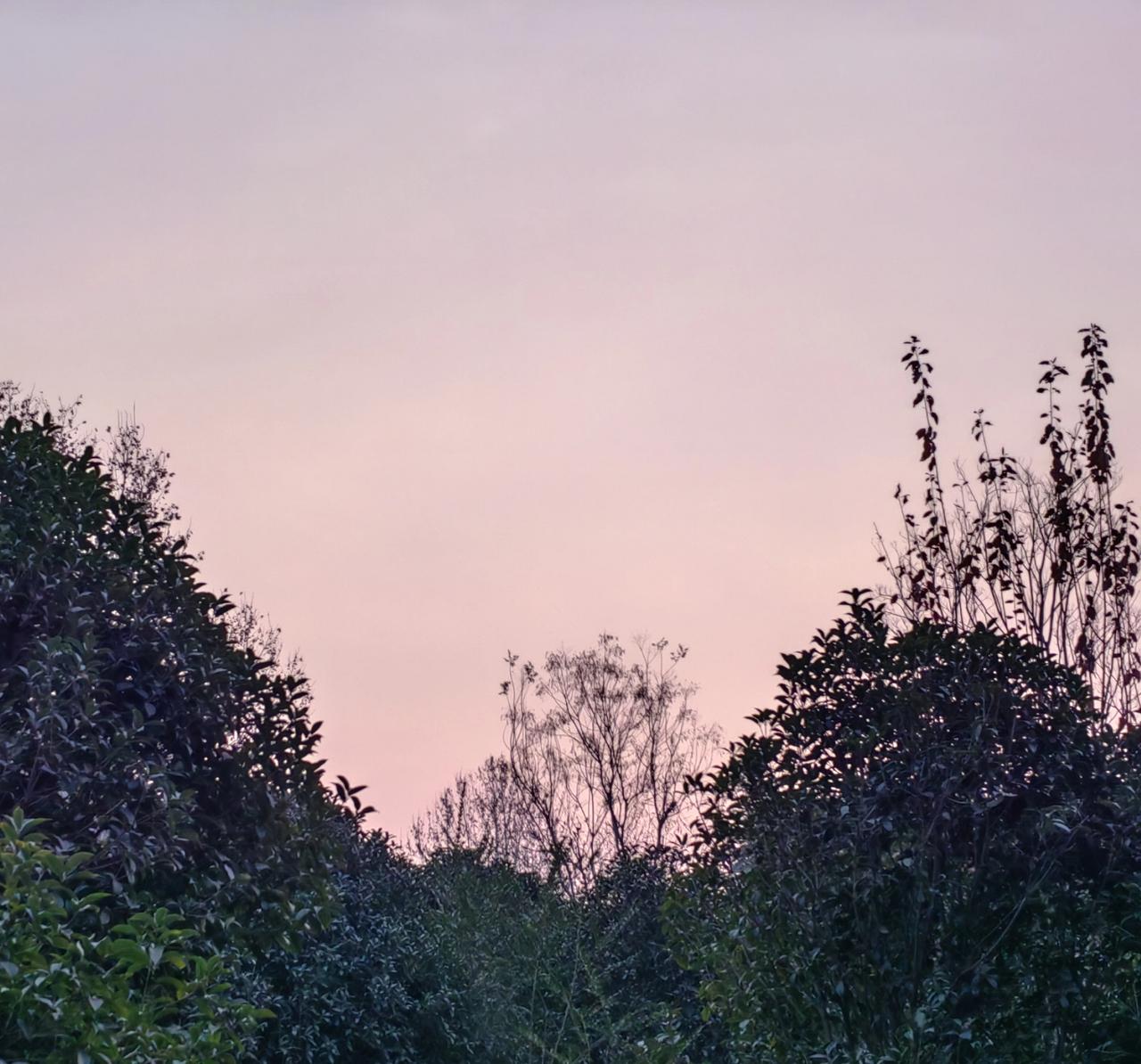 明日冬至，明日开新运，至少管一年。冬至一阳生，明日是2026年的“首阳”。好运