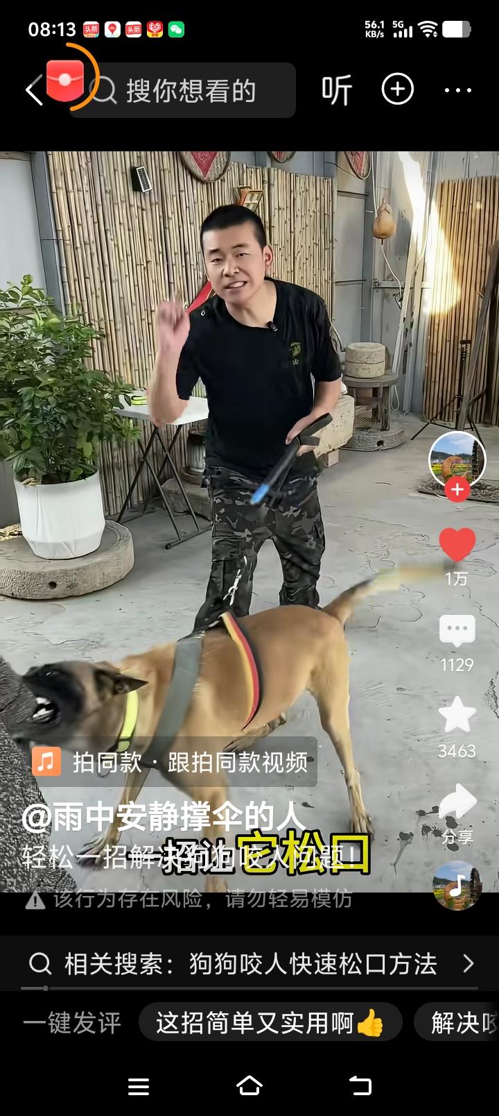 一招制服恶犬咬人不松口！最近连续看到恶犬伤人的案例。发现这几个案例共用特