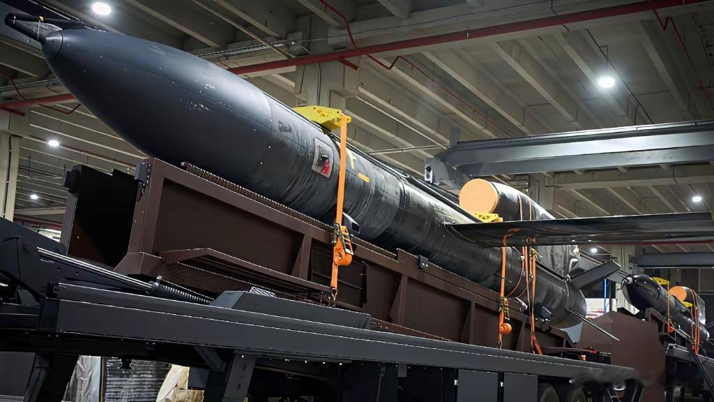 俄罗斯核心兵工厂遭袭击，第三方购入的宝贝全毁灭乌军使用“火烈鸟”巡航导弹干了