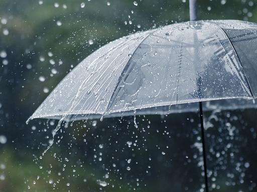 下了一天的雨，也忙了一天的活，刚干完。早上煮了一个玉米，一个土豆，两个鸡蛋吃了