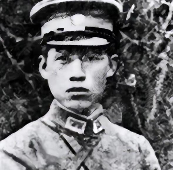 国军将领张岚峰率数千人投日后，弟弟张俊峰触怒日军，被绑在树上用刺刀挑死。张岚峰面