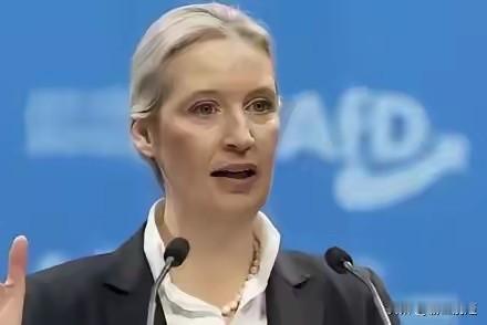 魏德尔一句:我不会派军舰去中国家门口去晃悠，不会在台湾海峡刷存在感。像把锋利匕首