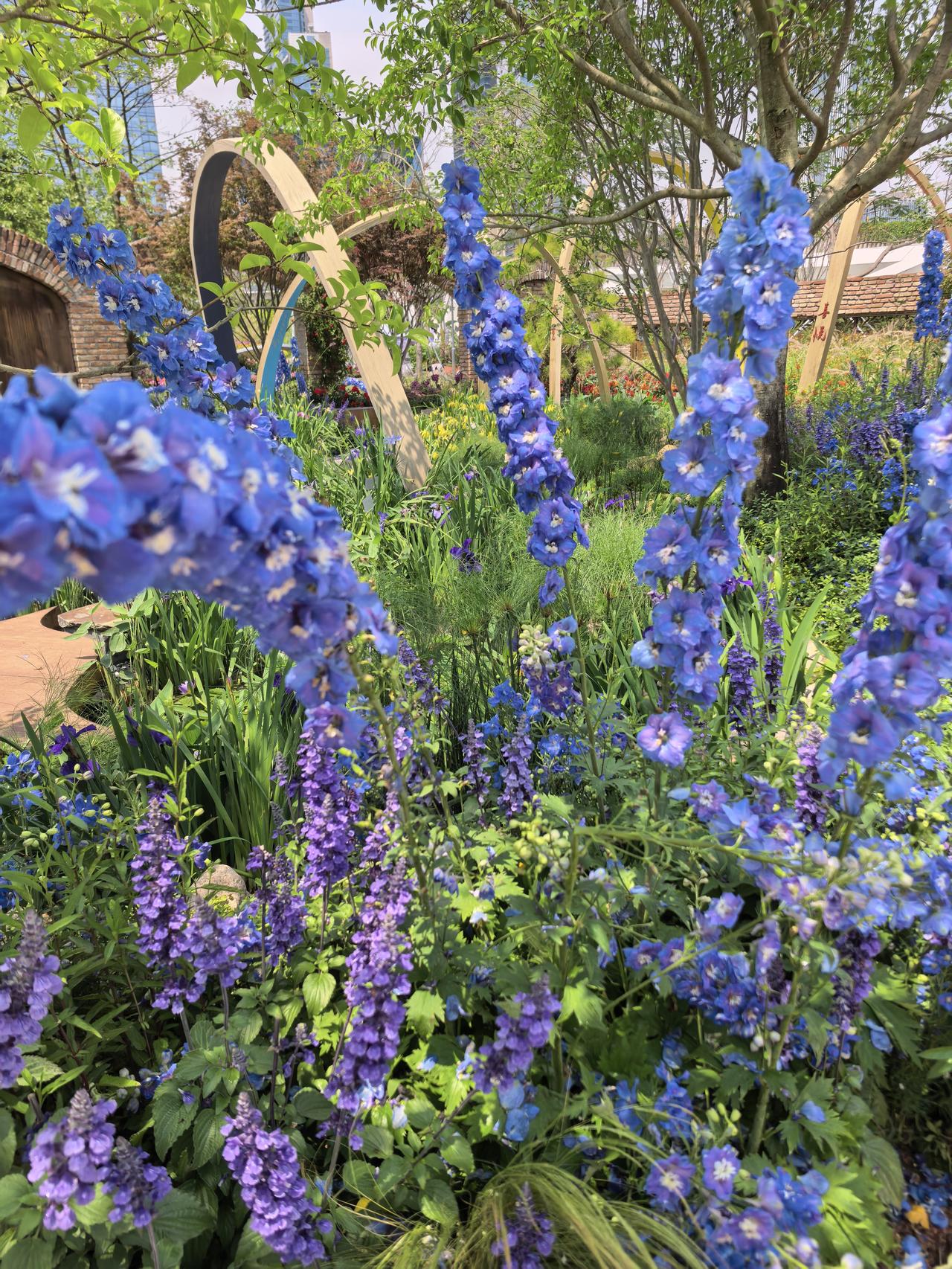 有没有漂亮的花朵图片吗笔架山公园花展随拍。