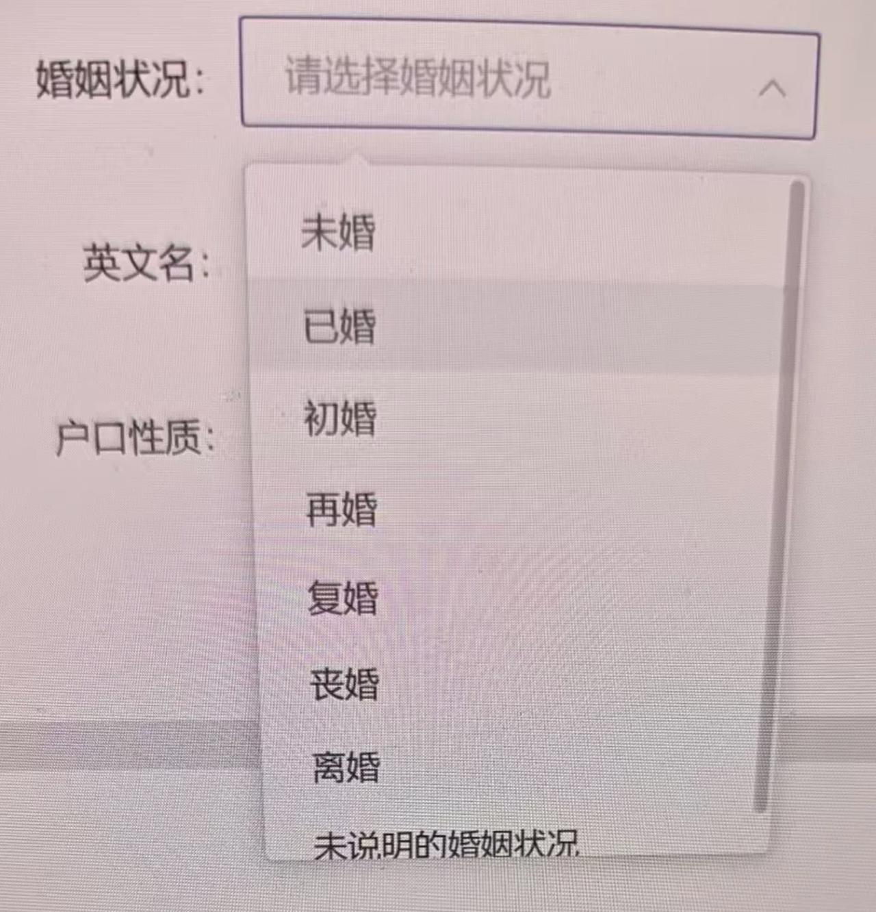 这是我见过最丰富的婚姻状况选择...既然这样的话，还能加上什么婚？