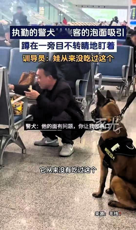 笑死人了，陕西西安，一男子在火车站候车时，觉得有点饿，便泡了桶泡面吃，浓郁的香味