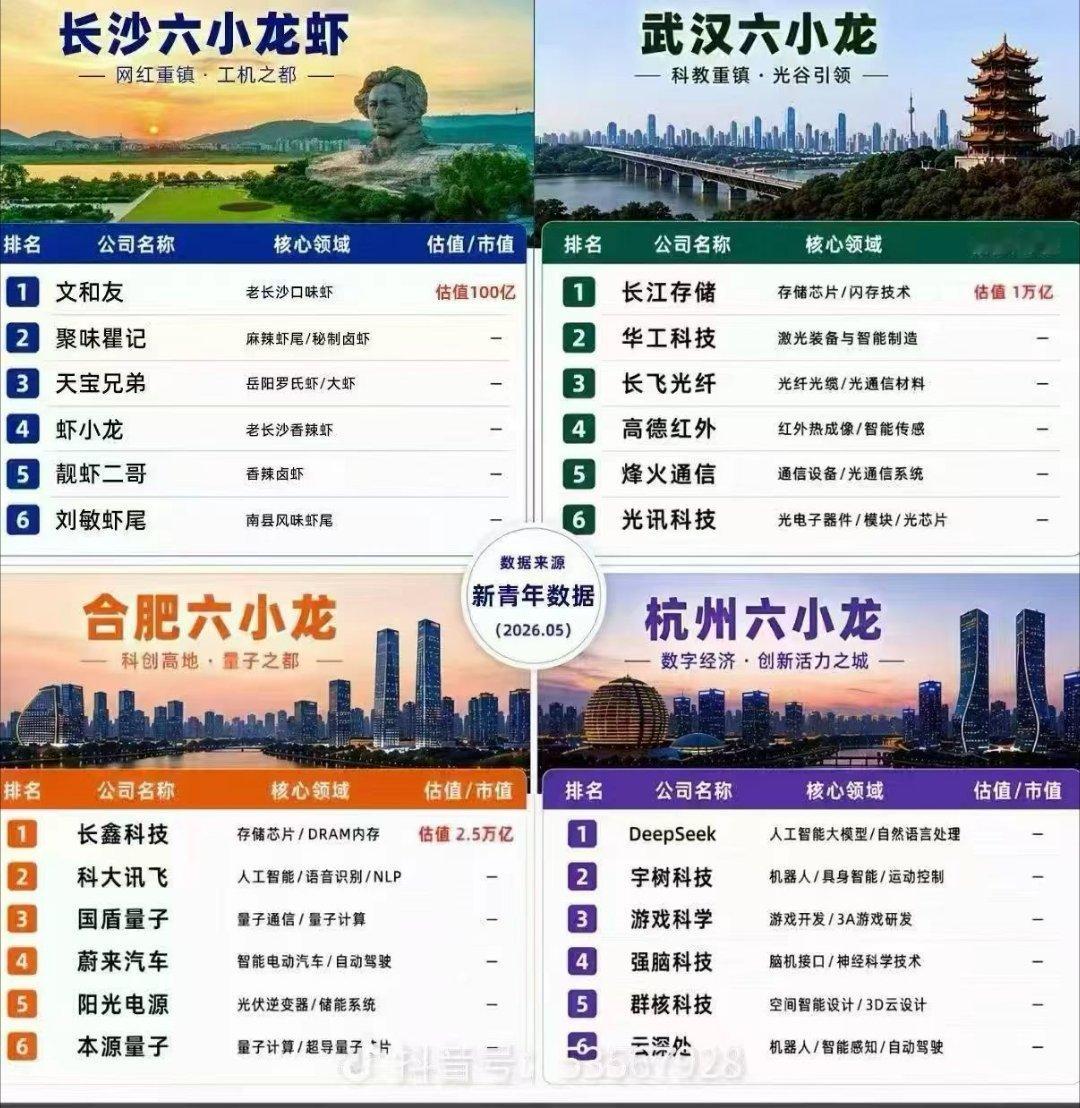 合肥杭州武汉是真的出息了