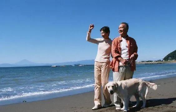 国内的名山大川几乎都去遍了，最美黄山，最险华山，最不理解的是普陀山、九华山，为啥