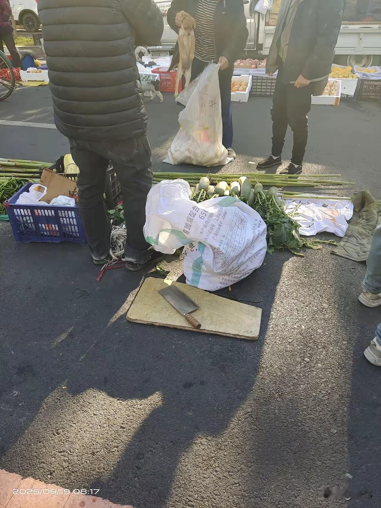 这天一位小哥哥去菜场买菜，结果看到有人拎着一个麻袋，在兜售狗狗，而且还卖的很便宜