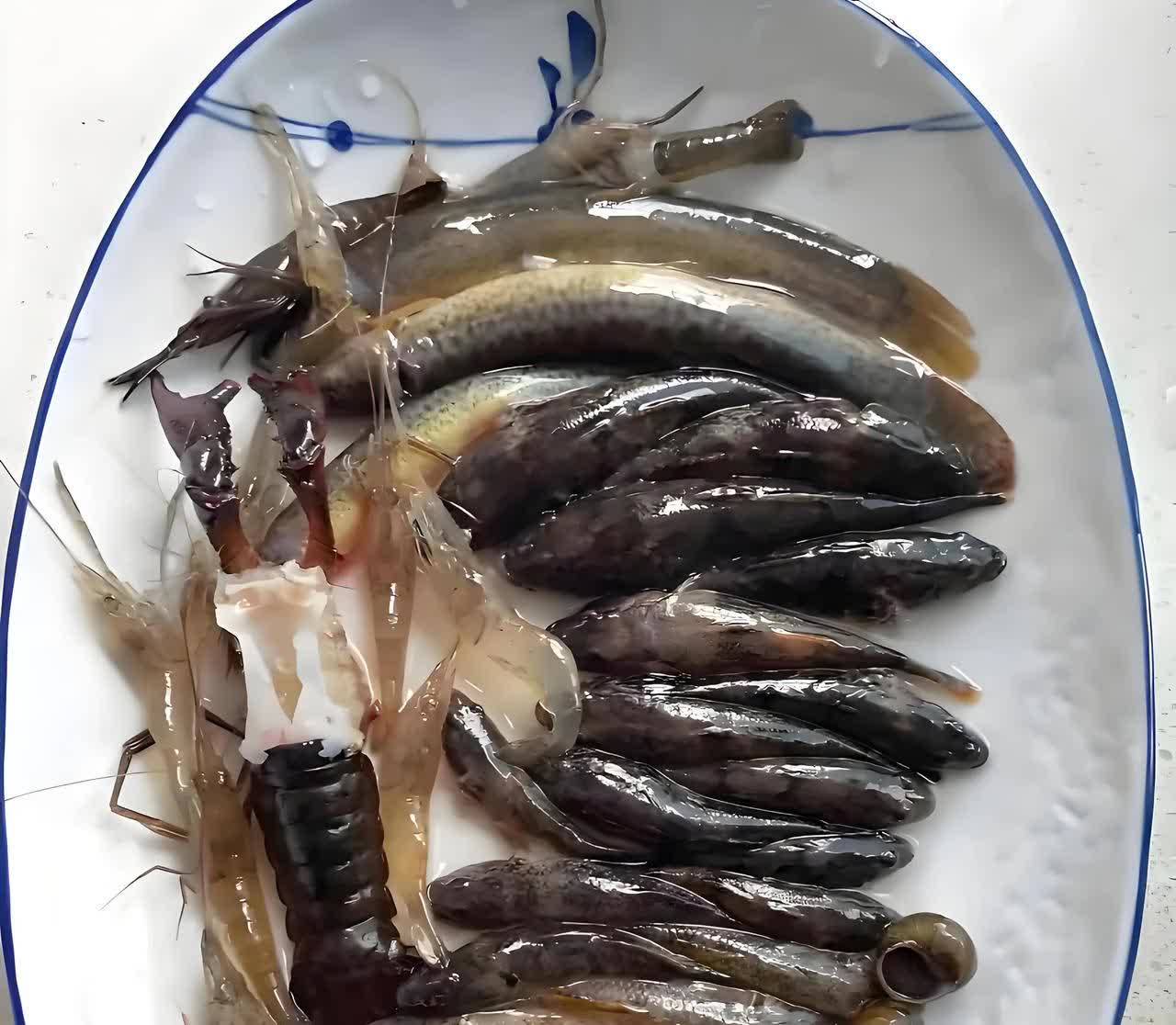 这样一盘菜，要价600，上海价格真是太吓人了，这在我们农村老家，10块钱全部搞定