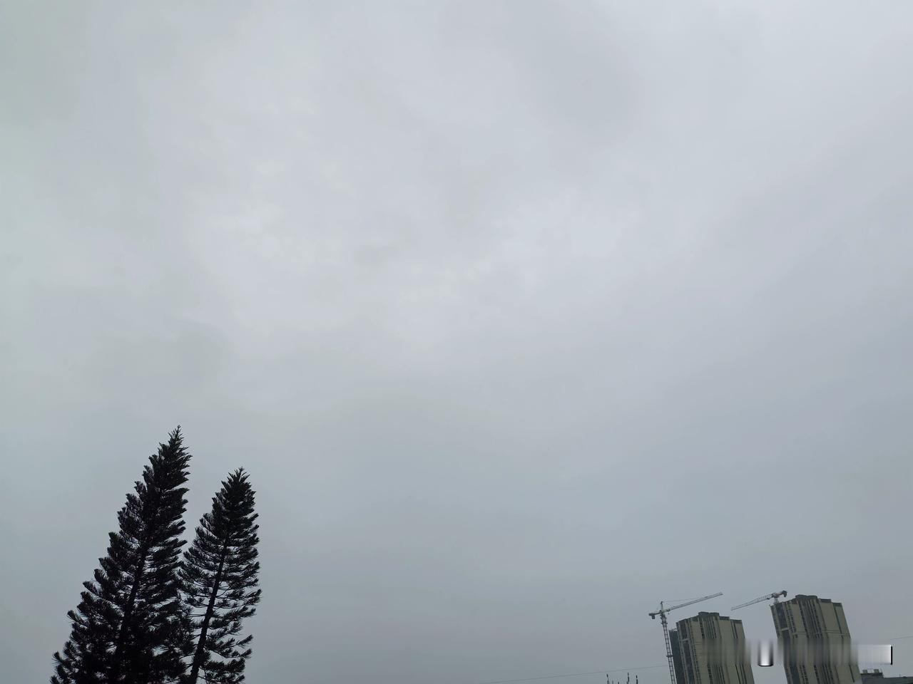 “沙德尔”在福建漳州第三次登陆！广东东部市县有大雨到暴雨局部大暴雨！今年第1