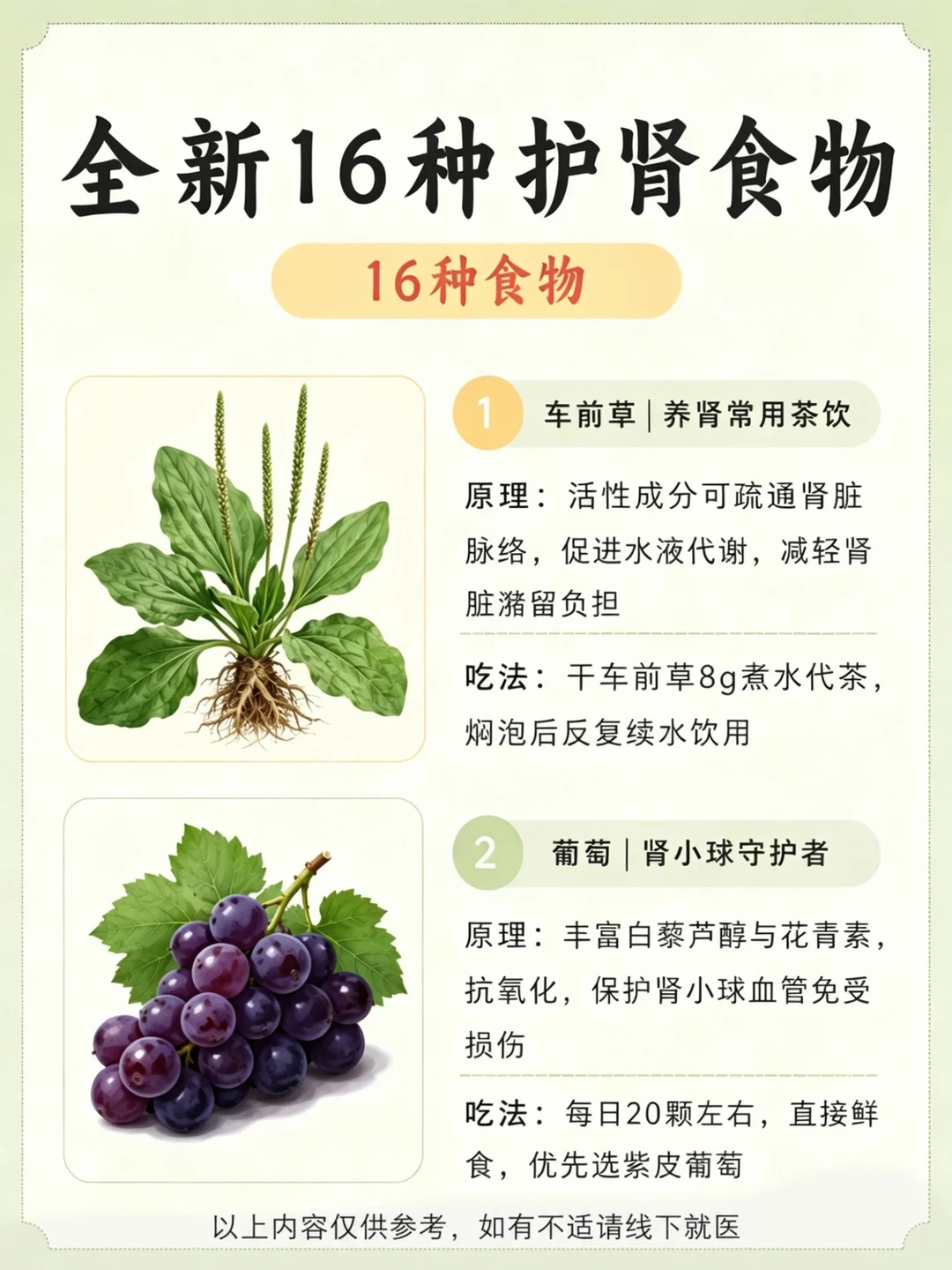 这16种平价食材，每天换着吃，肾越来越健康