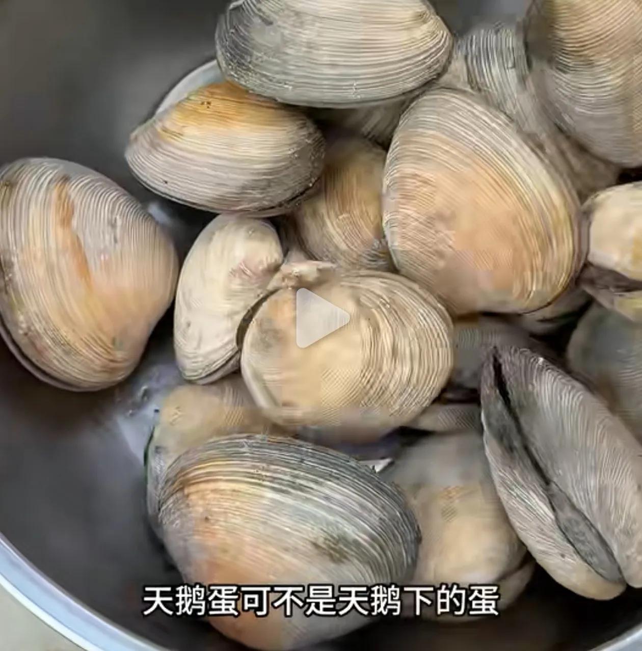 你见过这种贝类吗？我们叫天鹅蛋，在胶东烟台一带比较多，北方黄渤海特产，是一种比较