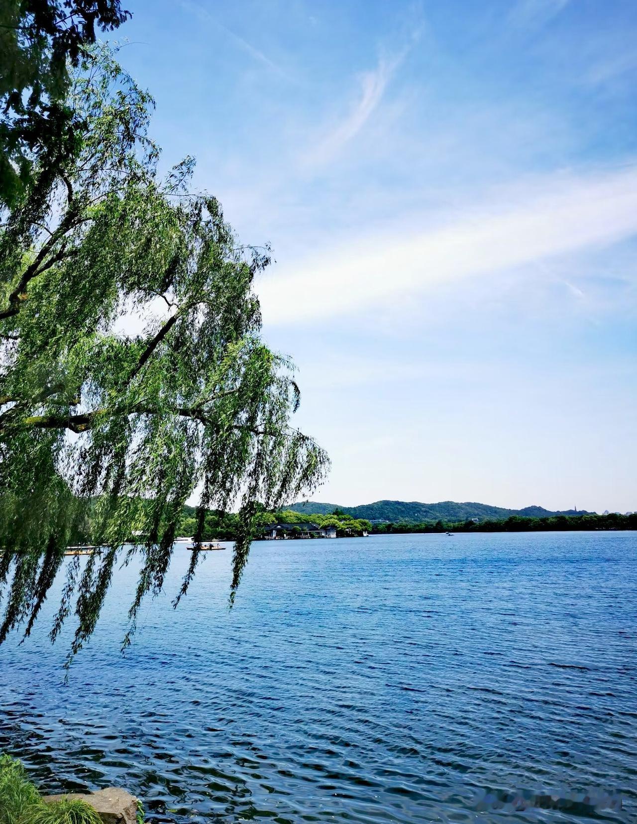 杭州西湖南线游，徒步赏景“花港观鱼”景区，这不仅仅是一处景观，更是一幅活着的画，