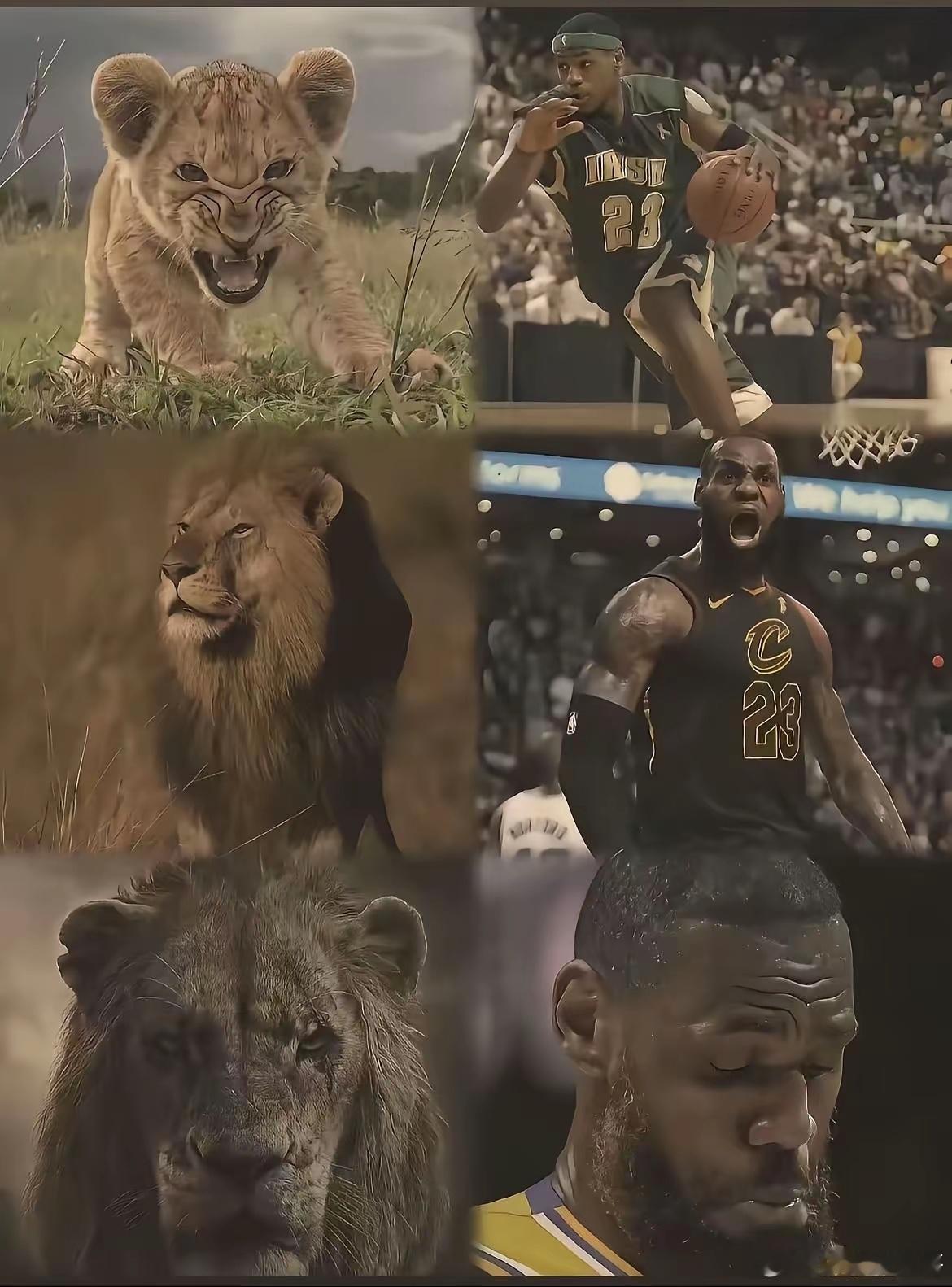 詹姆斯再次打破乔丹纪录！詹姆斯成为NBA历史上获得MVP选票最老(40岁）的球员