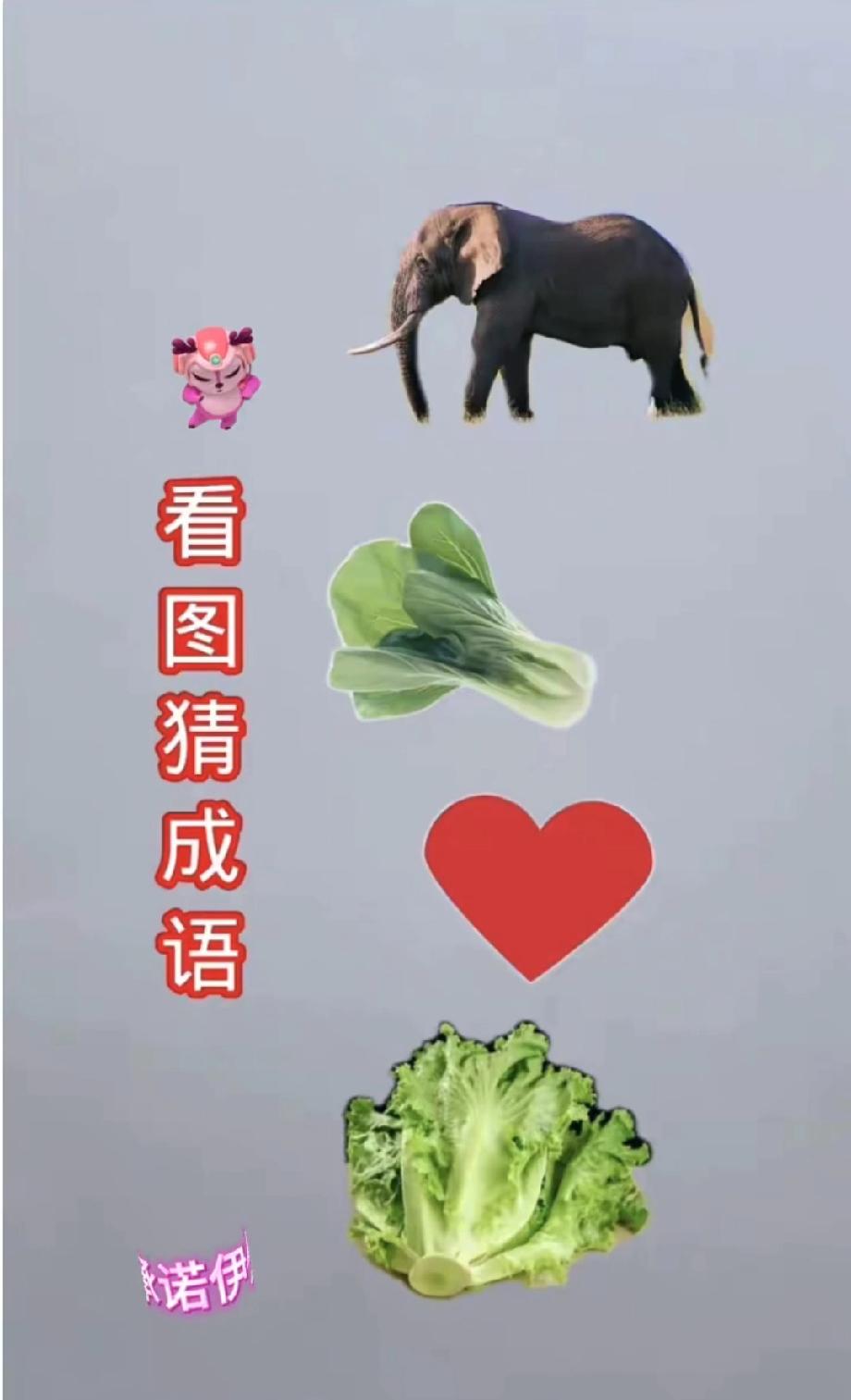 这组“大象、白菜、爱心、生菜”藏着一个成语，我卡了15分钟，你们能比我厉害吗？