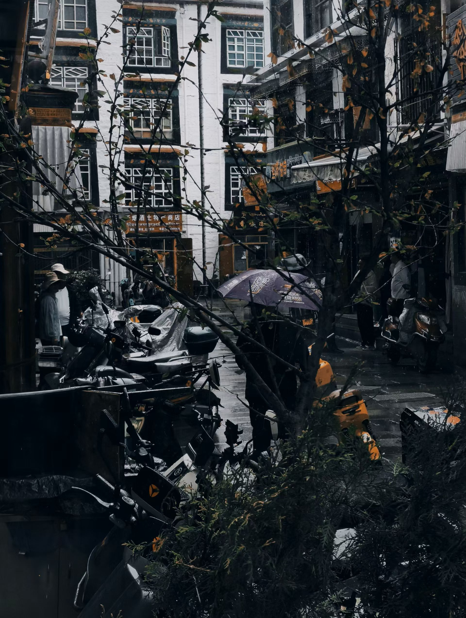 来避暑嘛，超级凉快