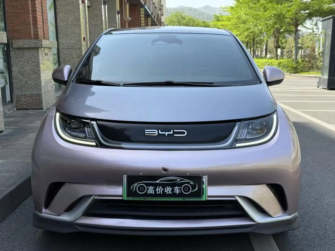 现在同价位的比亚迪真的比特斯拉香太多！价格更实在：20万内，比亚迪能上顶配，