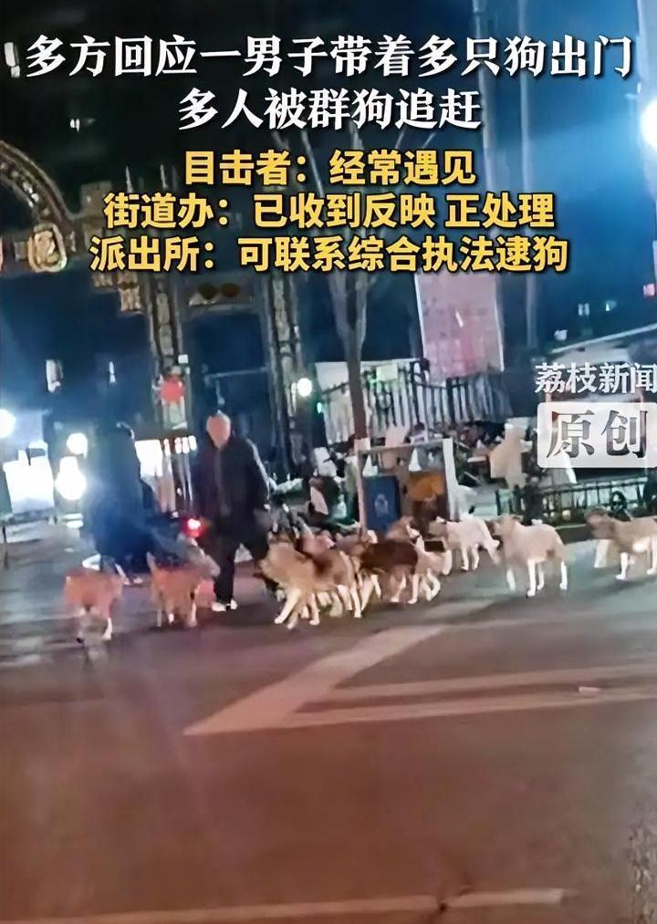带20条狗出门不拴绳养狗人还在不断挑战群众的底线，近期邯郸街头出现一群“流浪狗