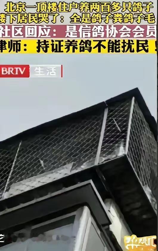 “太缺德了。”北京一男子花235万元买套房子，结果楼上邻居养了200多只鸽子。先