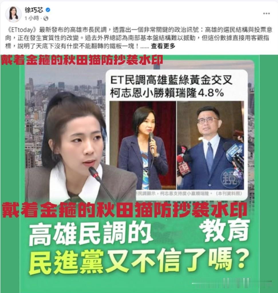 徐巧芯拳打赖瑞隆七寸！高雄选情民调出现变化，徐巧芯帮腔柯志恩：市民更关心治安和