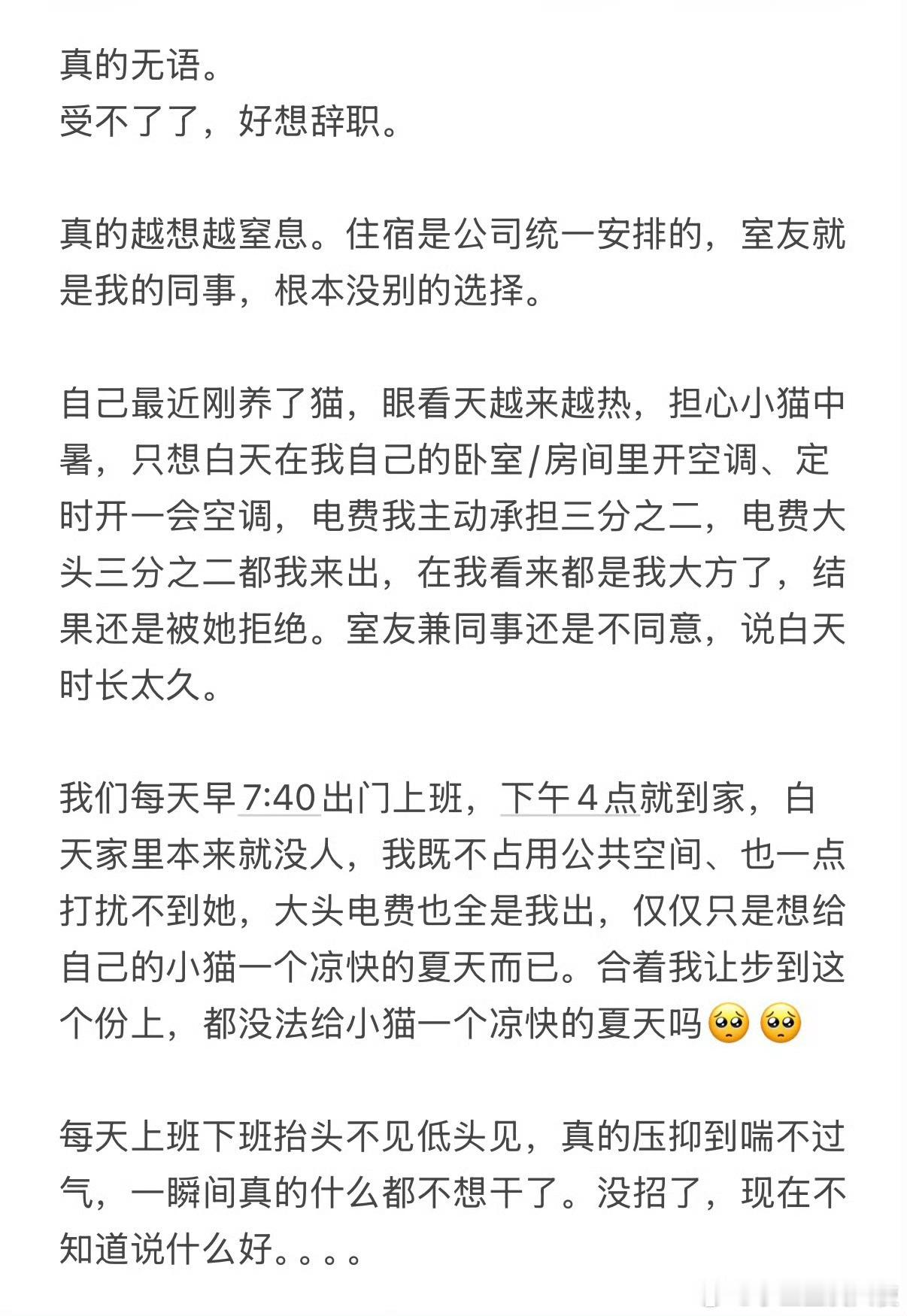 主动承担三分之二电费，室友同事仍不同意我白天开空调给猫降温