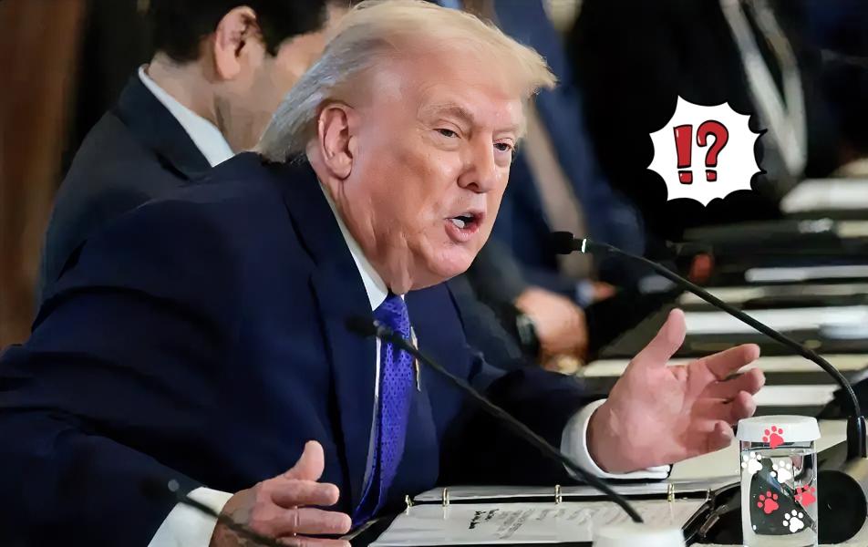 赚命还是赚钱？长荣这次算是真的怕了，船上拉着那82套“海马斯”和两千多发弹药