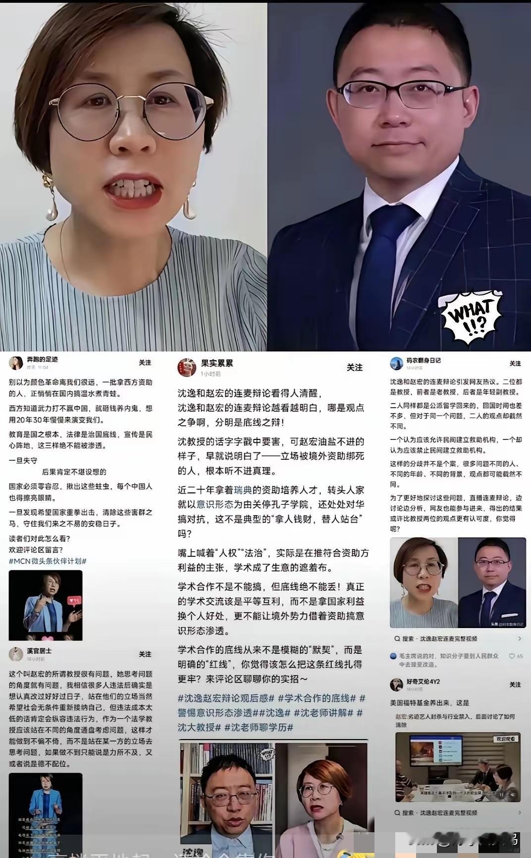 瑞典人花了二十年培养了一个现代的秦桧？​昨晚沈逸和赵宏连麦直播，一次认知上的碾