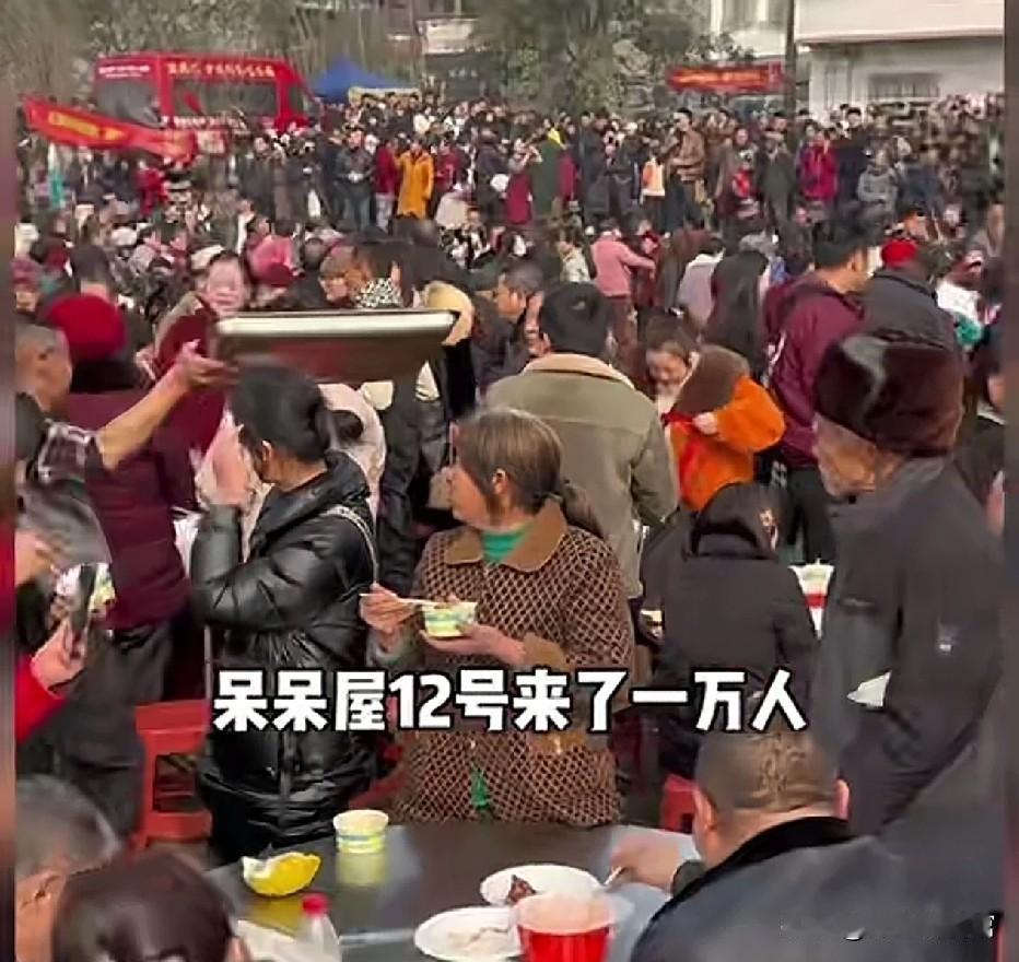 合川呆呆彻底“发呆”！12号涌来一万人，网友：这波流量接不住也得接谁能想到