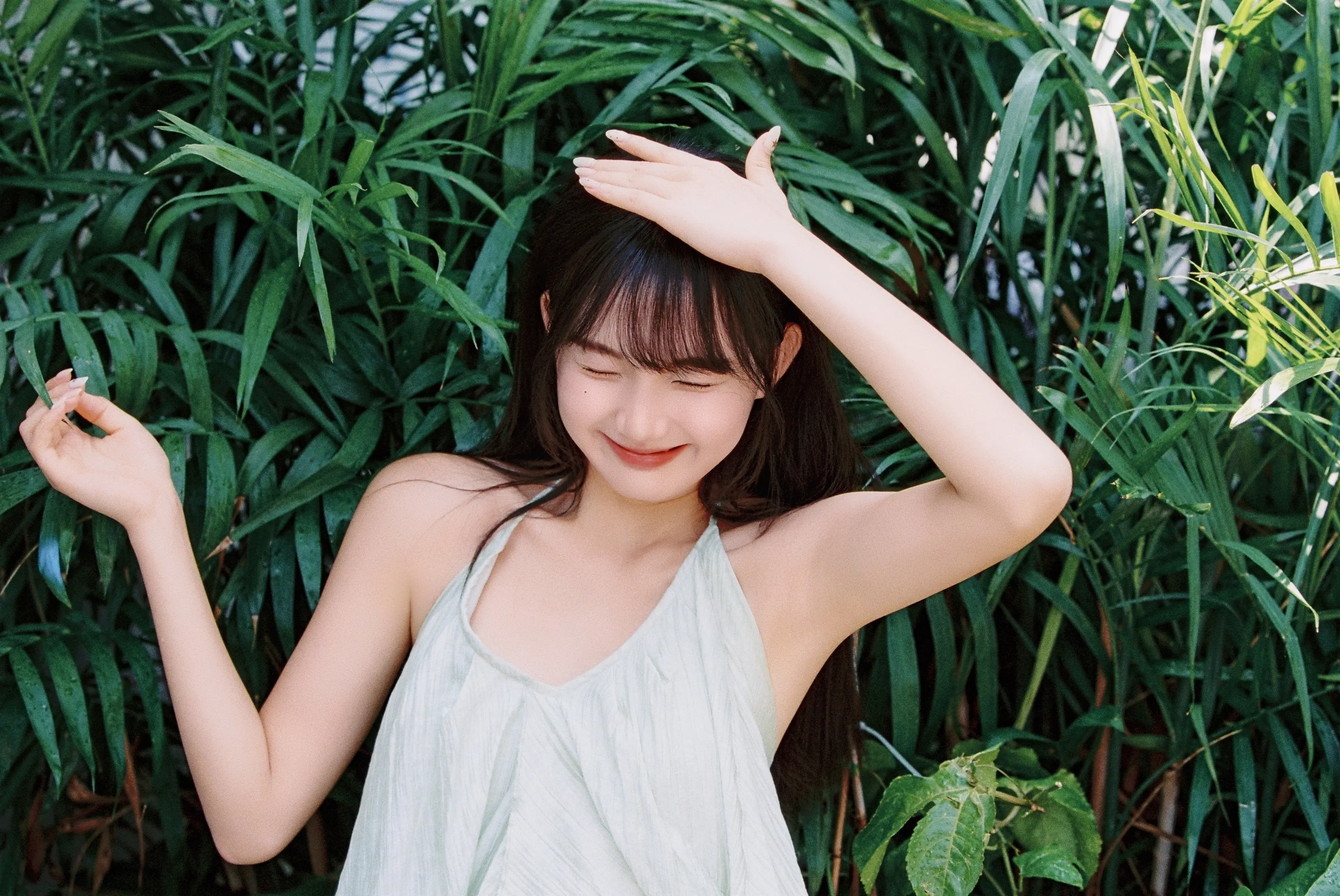 人类为何如此迷恋绿色｜夏日胶片绿野实况。夏日庭院实况，在院子里种满绿植...