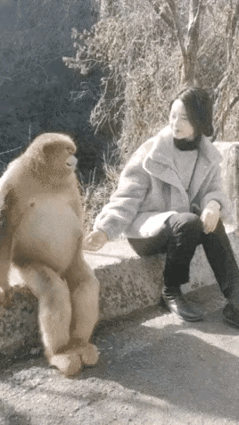 这差距确实很明显啊😉