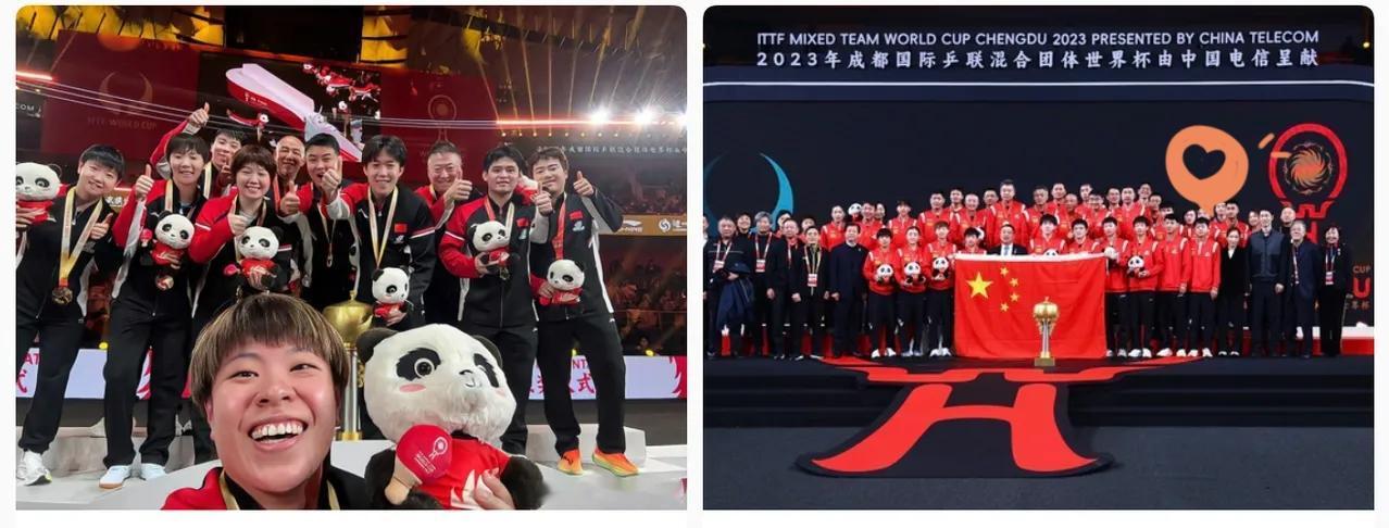 这下好了现在连日本队都意识到了甚至在采访直接说了大实话，日乒混双教练估计得冒