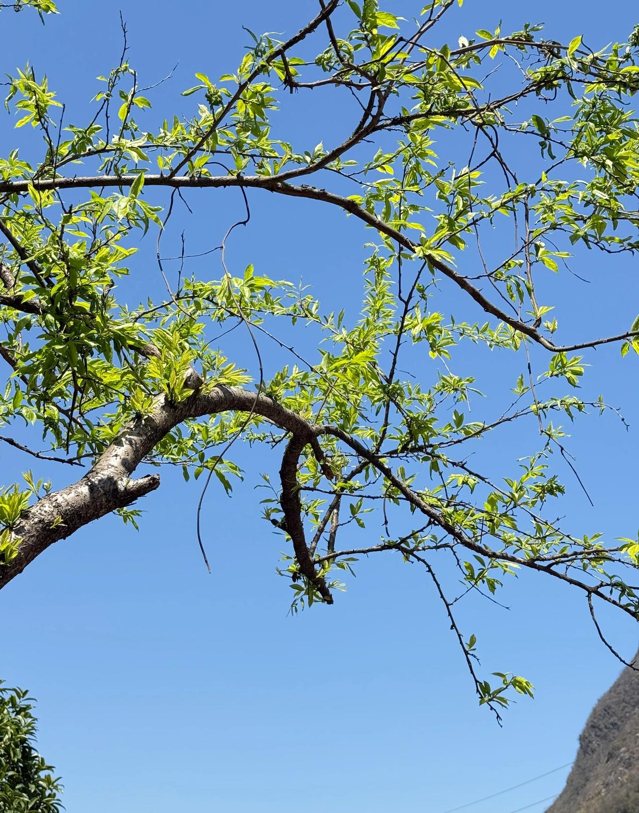 就群体而言，就没有比农民更难更苦的了。知青才在农村生活多少年？就有那么多苦难的叙