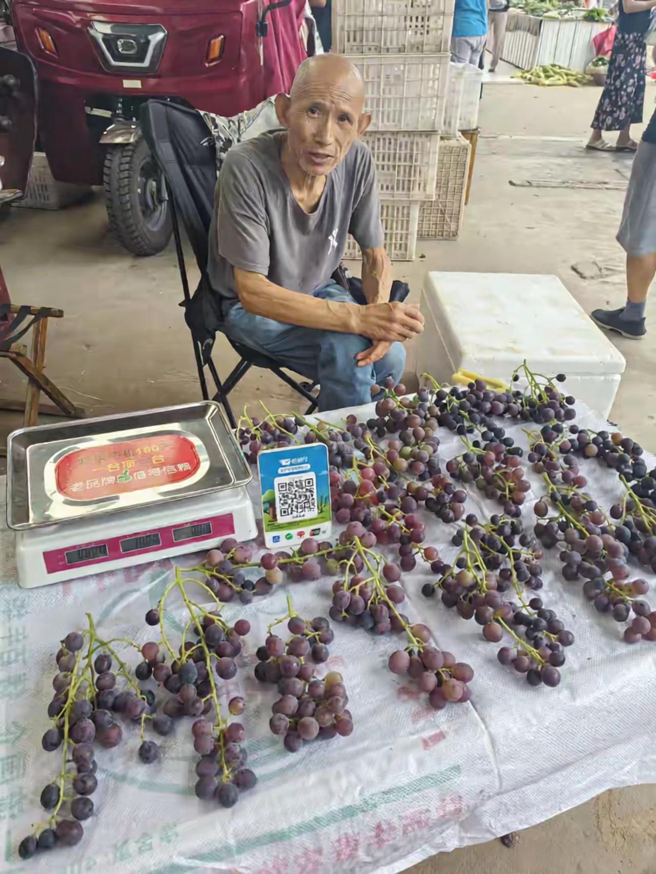 这葡萄一看就能好吃