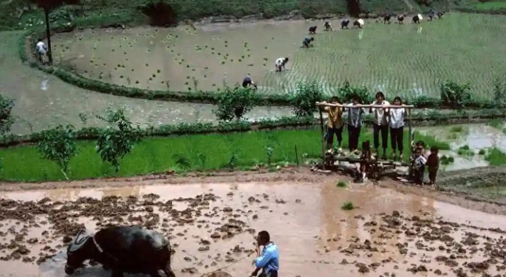 中国最具影响力的三农专家孙君说，40年前，中国没有任何一块土地是污染的，没有任何